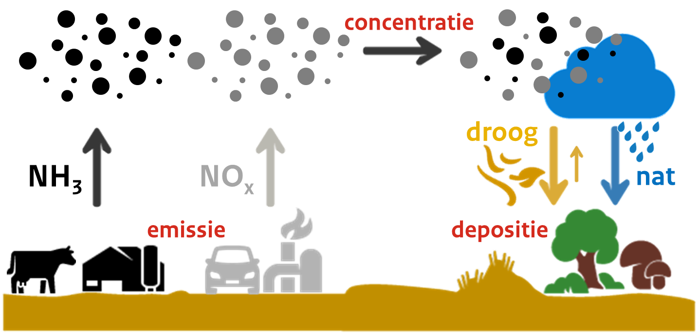 stikstof depositie