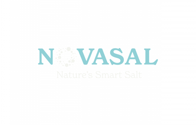 Logo Novasal 3