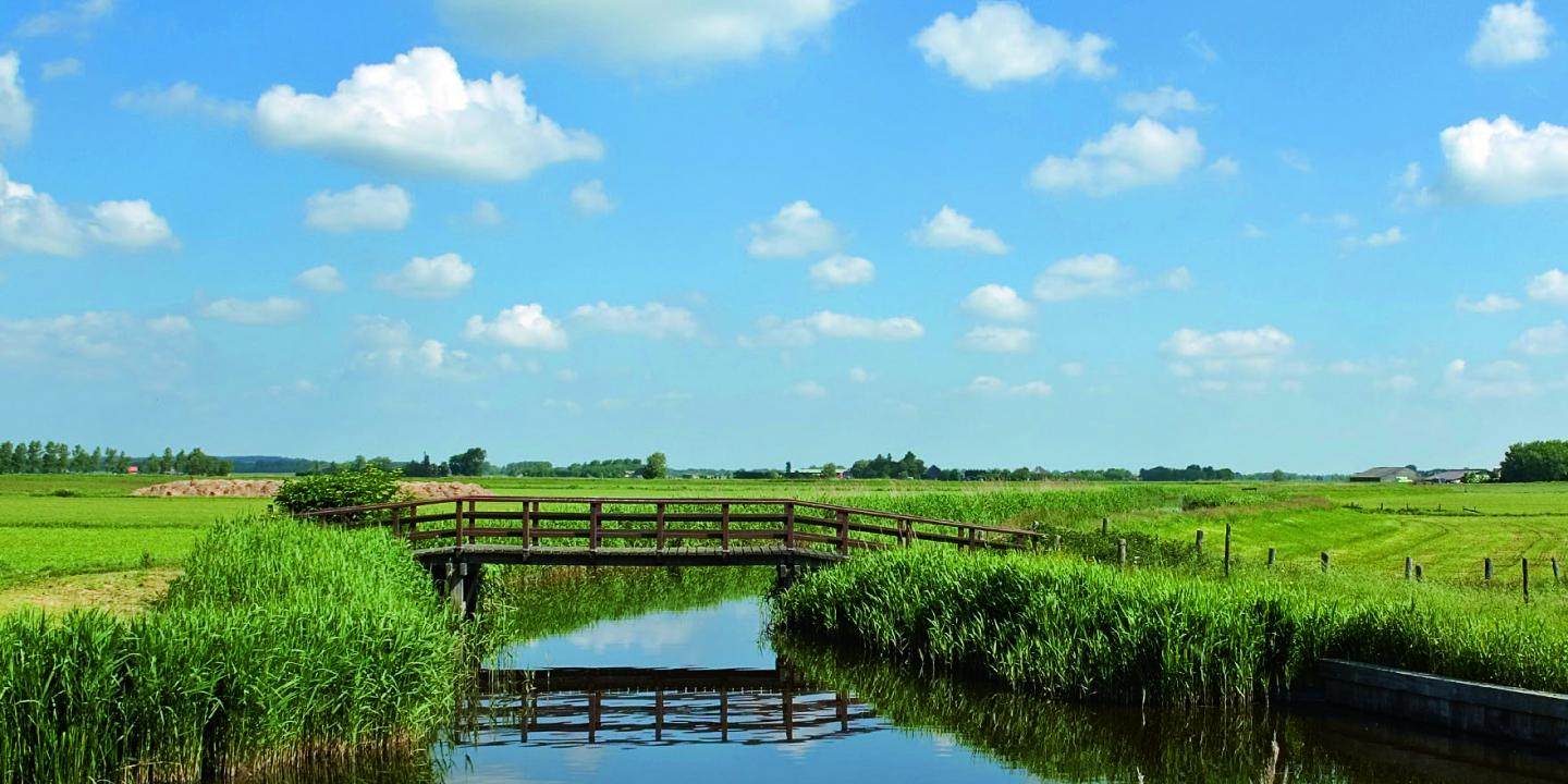 Milieuvriendelijk water zuiveren